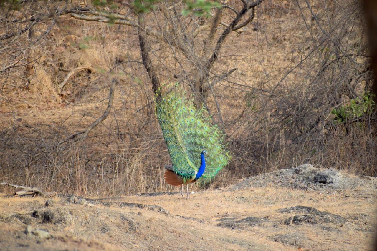 The Postcard Gir Wildlife Sanctuary Hotel Sasan Gir Exterior foto